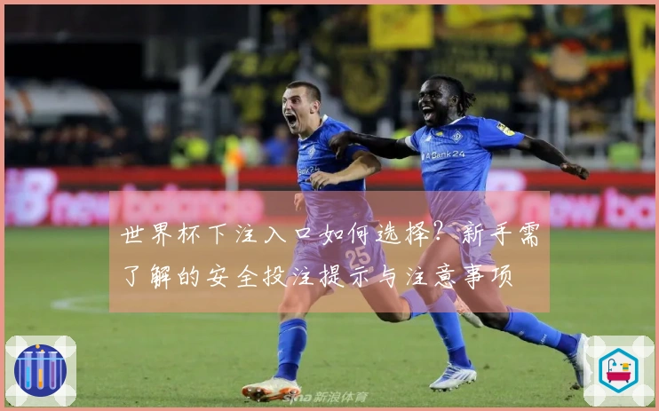 世界杯下注入口如何选择？新手需了解的安全投注提示与注意事项