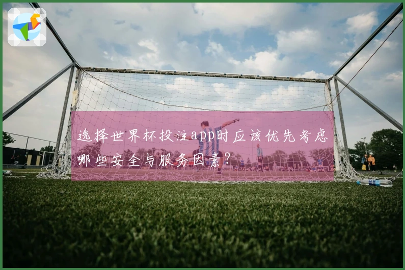 选择世界杯投注app时应该优先考虑哪些安全与服务因素？
