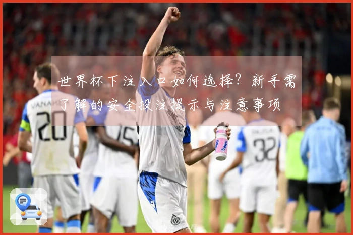 世界杯下注入口如何选择？新手需了解的安全投注提示与注意事项