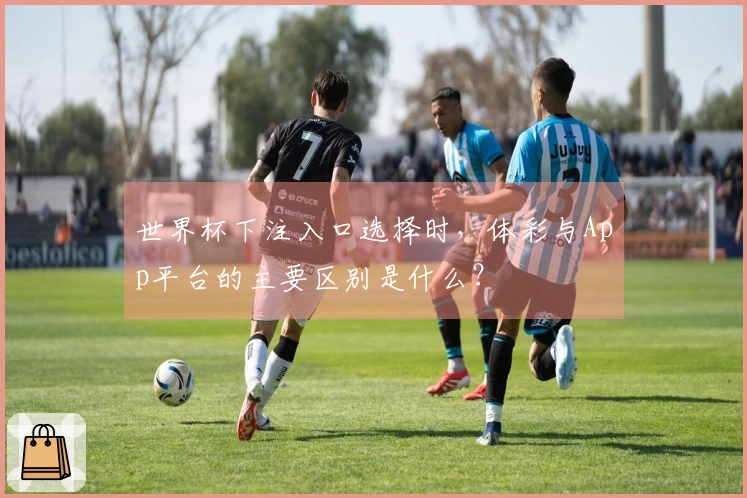 世界杯下注入口选择时，体彩与App平台的主要区别是什么？