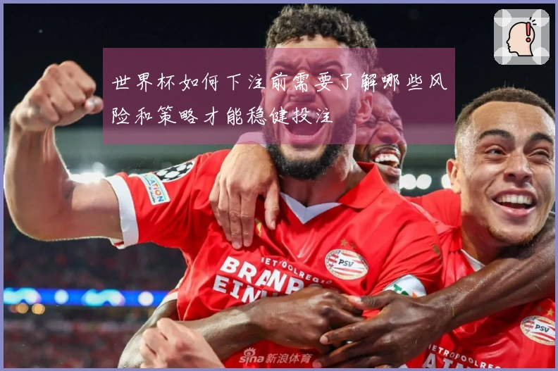 世界杯如何下注前需要了解哪些风险和策略才能稳健投注